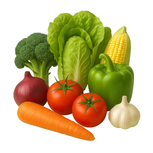 Fresh Vegetables